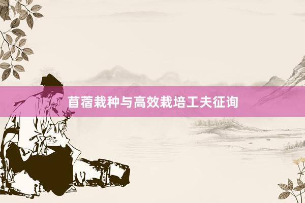 苜蓿栽种与高效栽培工夫征询